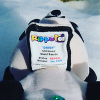 Daisy the Giant Panda